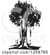 Black And White Woodcut Dryad Tree Spirit
