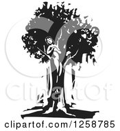 Poster, Art Print Of Black And White Woodcut Dryad Tree Spirit