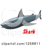 Poster, Art Print Of Gray Shark Over Text