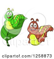 Clipart Of Caterpillars Royalty Free Vector Illustration