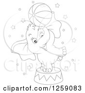 Poster, Art Print Of Black And White Cute Circus Elephant Balancing A Ball