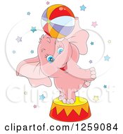 Clipart Of A Cute Pink Circus Elephant Balancing A Ball On A Podium Royalty Free Vector Illustration