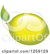 Poster, Art Print Of Lemon Or Lime With A Leaf