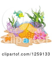 Coral Reef With A Fish And Seahorse