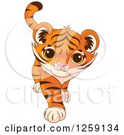 Clipart Of A Cute Playful Tiger Cub Walking Royalty Free Vector Illustration