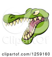 Poster, Art Print Of Aggressive Snarling Alligator Mascot Head