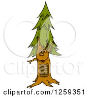 Poster, Art Print Of Conifer Tree Character