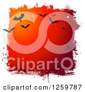 Grungy Red Halloween Background With A Spider Web And Vampire Bats Bordered In White