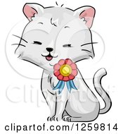 Poster, Art Print Of Cute Cat Wearing A Ribbon Medal