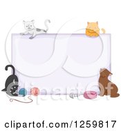 Blank Sign With Cats And Accessories