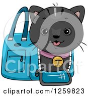 Poster, Art Print Of Happy Black Cat Emerging From A Carrier Bag