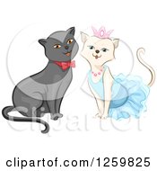 Poster, Art Print Of Cute Happy Cat Couple Dressed Up