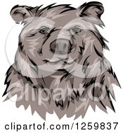 Poster, Art Print Of Grizzly Bear Mascot