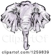 Poster, Art Print Of Gray Elephant Face Mascot