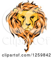 Poster, Art Print Of Male Lion And Mane Mascot