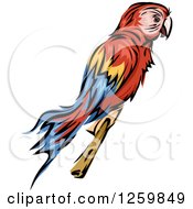 Poster, Art Print Of Rainbow Macaw Parrot Mascot