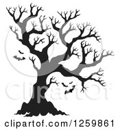 Black Silhouetted Bare Tree With Flying Bats