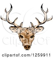 Deer Head And Antlers Mascot
