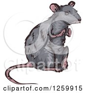 Poster, Art Print Of Gray Rat Mascot