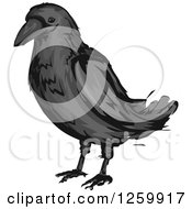 Clipart Of A Crow Bird Mascot Royalty Free Vector Illustration