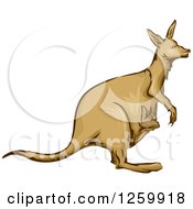 Poster, Art Print Of Kangaroo And Joey Mascot