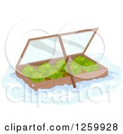 Poster, Art Print Of Winter Garden Box Of Cabbage