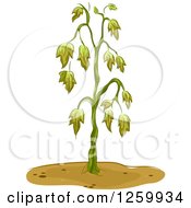 Poster, Art Print Of Wilting Plant