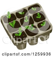 Poster, Art Print Of Tray With Seedling Plants