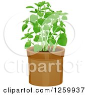 Poster, Art Print Of Potted Basil Plant