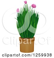 Poster, Art Print Of Potted Chives Plant