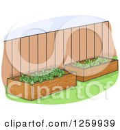 Poster, Art Print Of Raised Garden Beds In A Yard