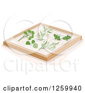 Poster, Art Print Of Herbs On A Drying Rack