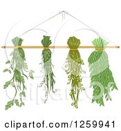 Poster, Art Print Of Herbs Hanging To Dry