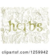 Poster, Art Print Of Sketched Herbs Text Over Plants