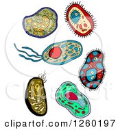 Clipart Of Doodled Viruses Or Amoebas Royalty Free Vector Illustration