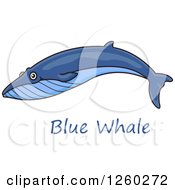 Poster, Art Print Of Swimming Blue Whale Over Text