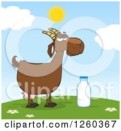 Poster, Art Print Of Red And White Female Boer Goat Doe With A Milk Bottle On A Hill