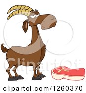 Poster, Art Print Of Red Male Boer Goat Wether By A Chevon Steak