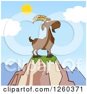 Red Male Boer Goat Buck With A Goatee On Top Of A Mountain