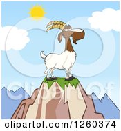 Red And White Male Boer Goat Buck With A Goatee On Top Of A Mountain