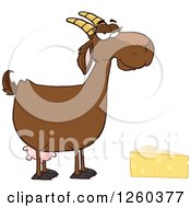 Poster, Art Print Of Red Female Boer Goat Doe With Cheese
