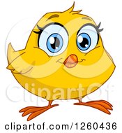 Clipart Of A Happy Yellow Chick With Big Blue Eyes Royalty Free Vector Illustration