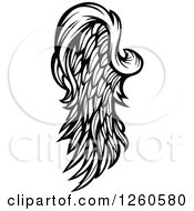 Black And White Feathered Wing