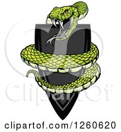 Clipart Of A Vicious Green Snake Coiled Around A Black Shield Royalty Free Vector Illustration