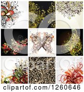 Clipart of Butterfly and Floral Backgrounds - Royalty Free Vector Illustration by OnFocusMedia #COLLC1260646-0049