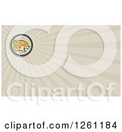 Clipart Of A Tiger Background Or Business Card Design Royalty Free Illustration by patrimonio