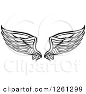Clipart Of Black And White Feathered Wings Royalty Free Vector Illustration