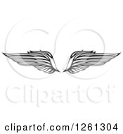 Clipart Of Black And White Feathered Wings Royalty Free Vector Illustration by Chromaco
