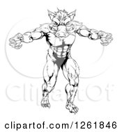 Clipart Of A Black And White Muscular Aggressive Boar Man Mascot Attacking Royalty Free Vector Illustration