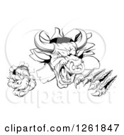 Clipart Of A Black And White Attacking Aggressive Bull Breaking Through A Wall Royalty Free Vector Illustration